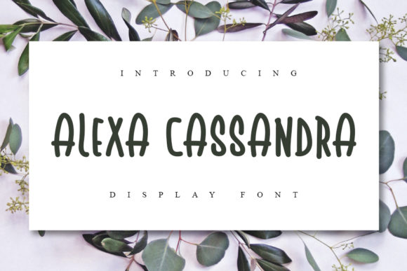 Alexa Cassandra Font Adds Personality to Your Marketing Campaigns