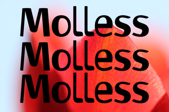 Molless: The Quiet Confidence of a Modern Display Font