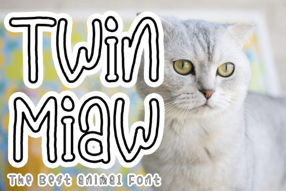 Twin Miaw: A Display Font That Walks Its Own Line